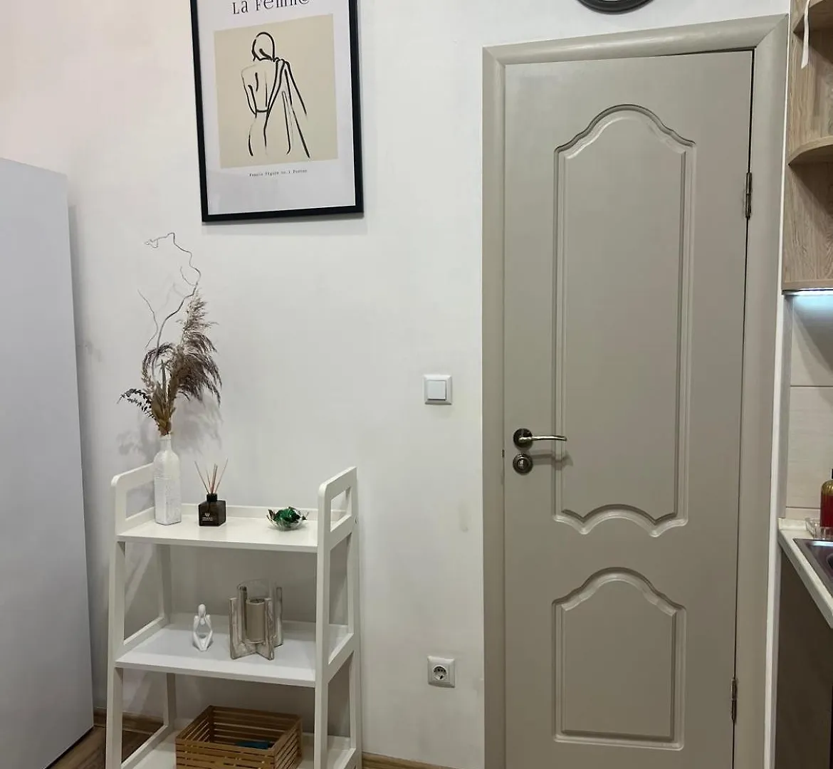 Cozy Apartment Near The Lviv National Opera 0*,