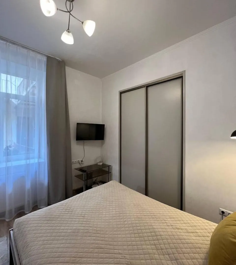 Cozy Apartment Near The Lviv National Opera